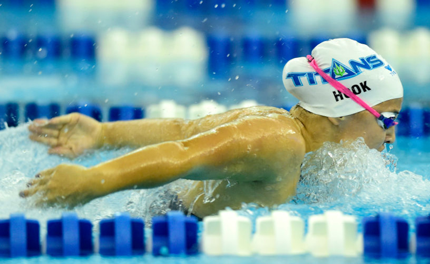 Charlotte Hook Butterfly