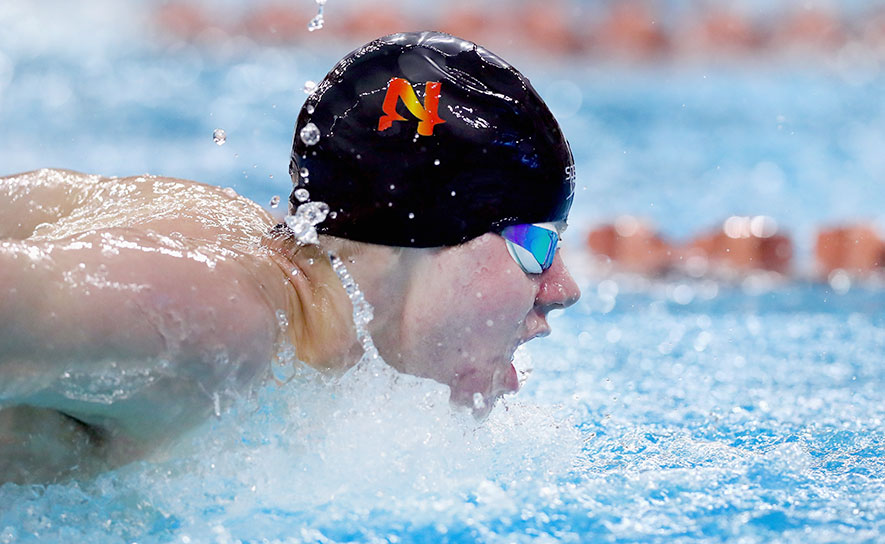 Sean Grieshop Butterfly