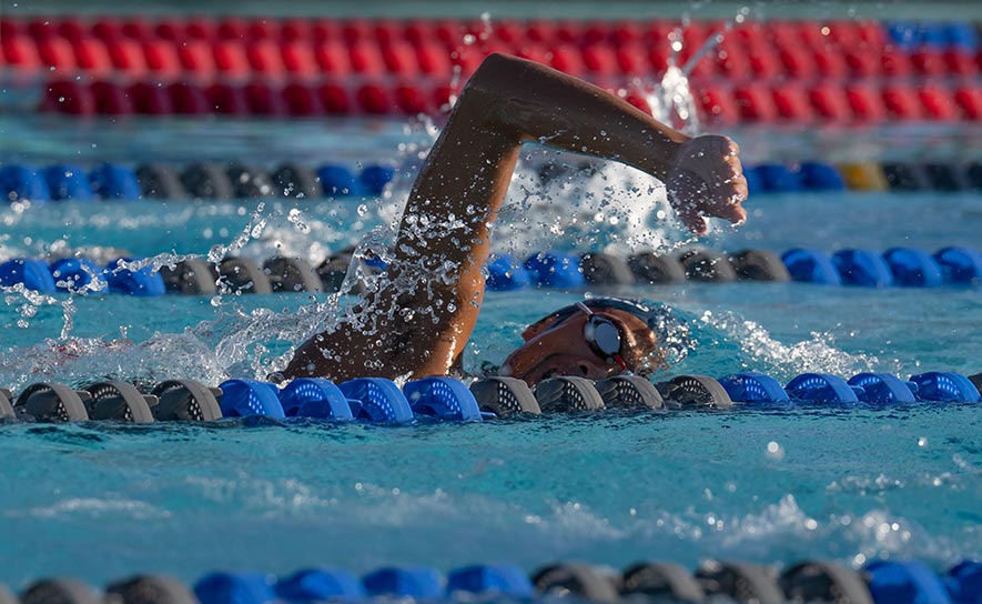 Male Freestyle Swimmer Navy Cap