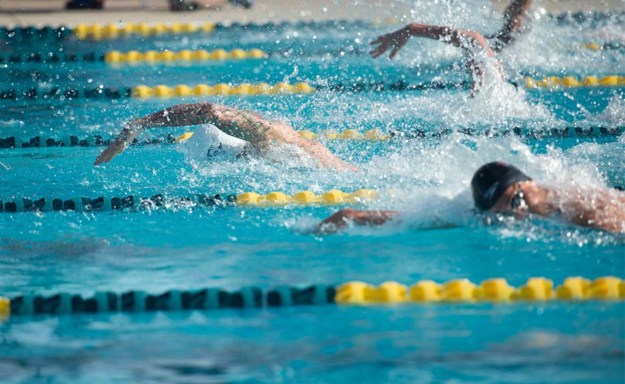 Male Freestyle Swimmers
