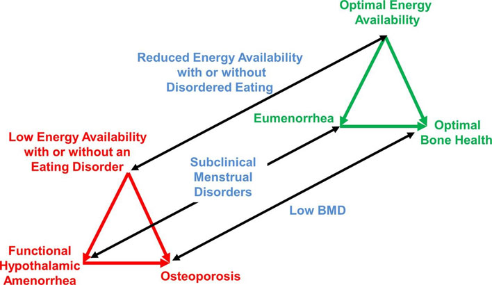 triadspectrum triadspectrum