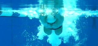 underwaterfly1 underwaterfly1