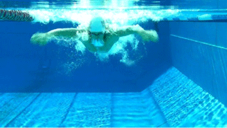 underwaterfly2 underwaterfly2