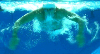 underwaterfly5 underwaterfly5